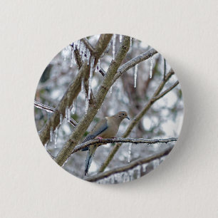 Mourning Dove Ronde Button 5,7 Cm