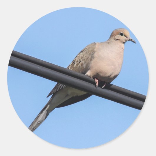 Mourning Dove Ronde Sticker (Voorkant)