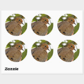 Mourning Dove Ronde Sticker (Vel)