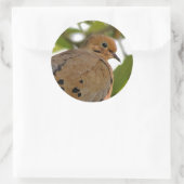Mourning Dove Ronde Sticker (Tas)