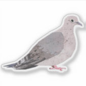 Mourning Dove Sticker (Voorkant)