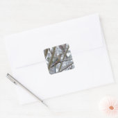 Mourning Dove Vierkante Sticker (Envelop)