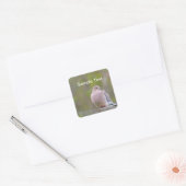 Mourning Dove Vierkante Sticker (Envelop)