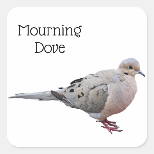 Mourning Dove Vierkante Sticker (Voorkant)