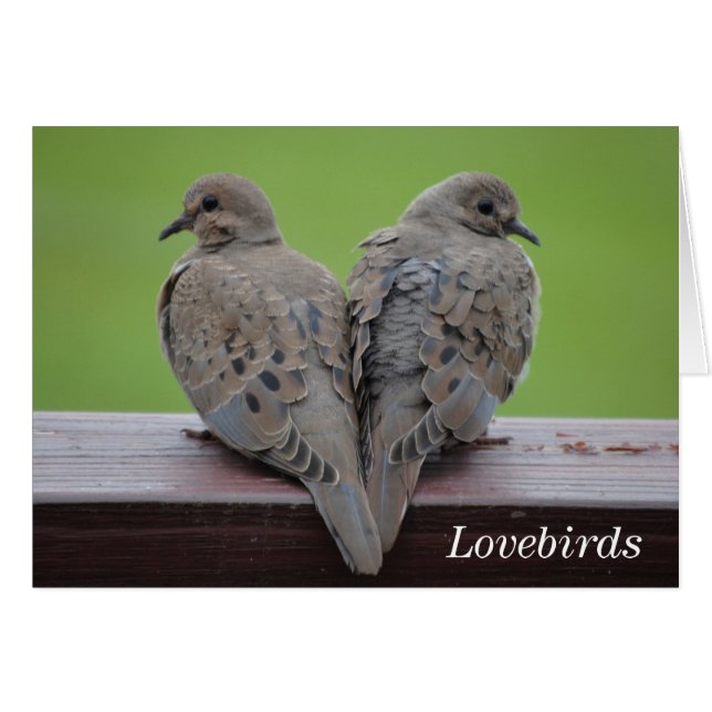 Mourning Doves (Voorkant Horizontaal)
