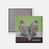 Mourning Doves Magneet (Voorkant / Achterkant)