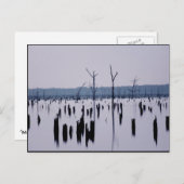 "Mourning Morning" - Briefkaart (Voorkant / Achterkant)