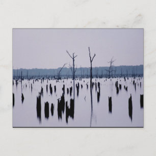 "Mourning Morning" - Briefkaart