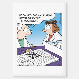 Mouse in Maze  Magneet