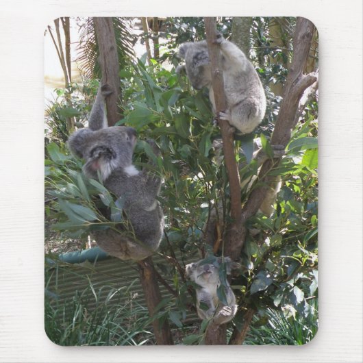 Mousepad adopteert een Koala Australië Muismat (Voorkant)