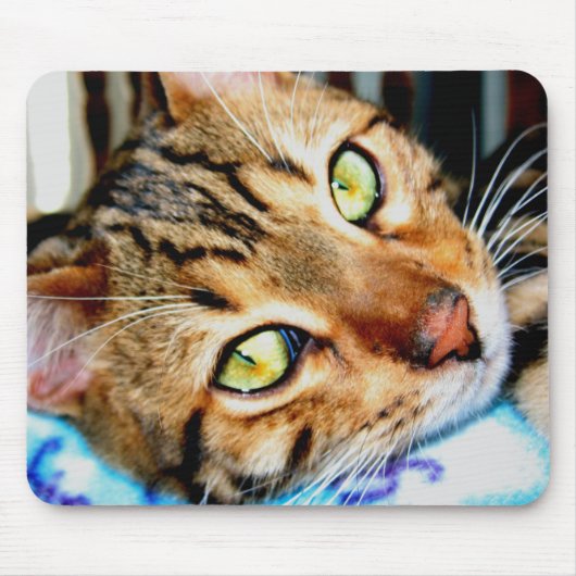 Mousepad Bengal Cat Muismat (Voorkant)