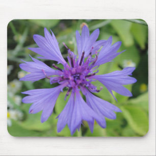 Mousepad blaue Kornblume Muismat