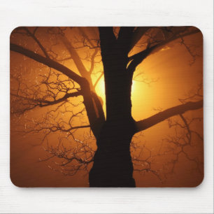 Mousepad-boom 's nachts muismat