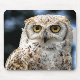 Mousepad Canadian Owl Muismat