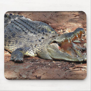 Mousepad - Crocodile Muismat
