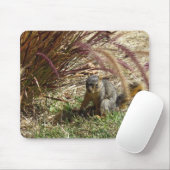 Mousepad - Eekhoorn in Grass Muismat (Met muis)