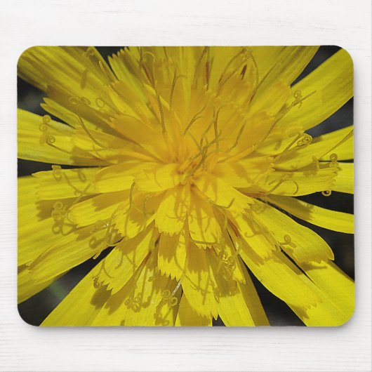 Mousepad gelbes Blütenzentrum Muismat (Voorkant)