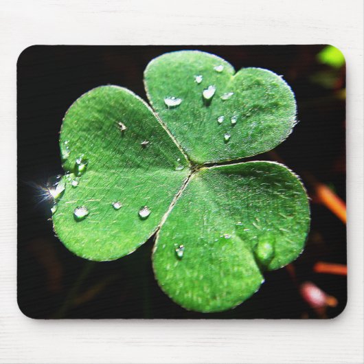 Mousepad grünes Kleeblatt mit Wassertropfen Muismat (Voorkant)