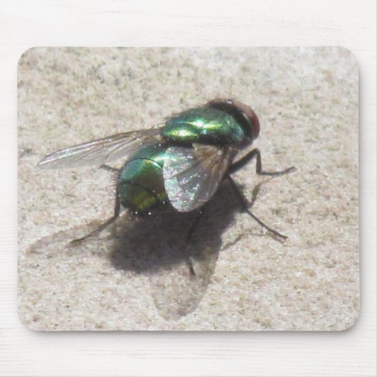 Mousepad - Housefly Muismat (Voorkant)