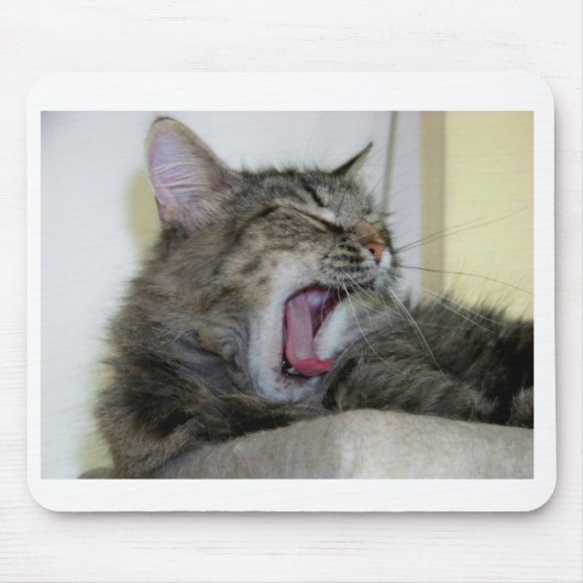 Mousepad Katze Muismat (Voorkant)