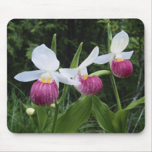 Mousepad-Lady Slipper Orchids Muismat