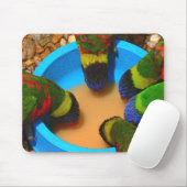 Mousepad, Lorikeets Muismat (Met muis)