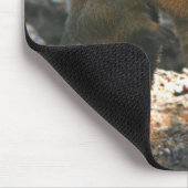 Mousepad met leuk marmot-paar muismat (Hoek)