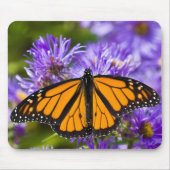 Mousepad Monarch Butterfly op Paarse Asters Muismat (Voorkant)