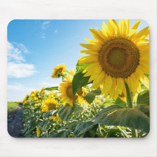 Mousepad Muismat (Voorkant)