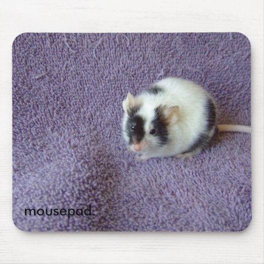 mousepad. muismat (Voorkant)