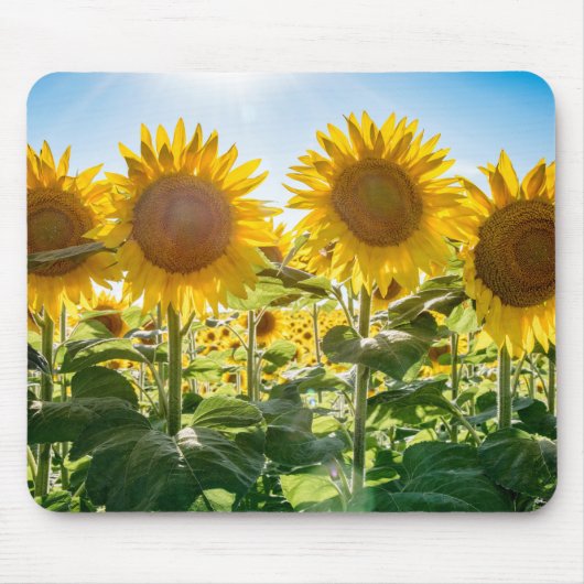 Mousepad Muismat (Voorkant)