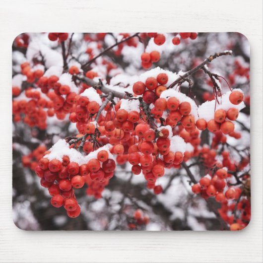 Mousepad Muismat (Voorkant)