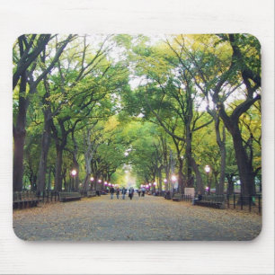 Mousepad - NY Central Park Muismat