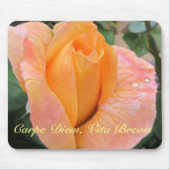 Mousepad--Orange Rose With Raindrops Muismat (Voorkant)