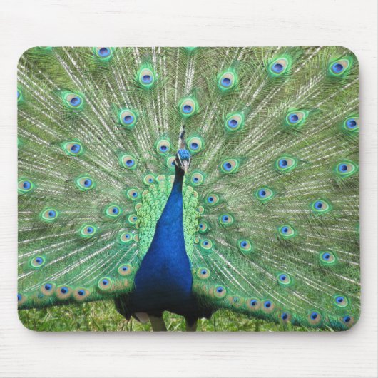 Mousepad - Peacock Muismat (Voorkant)