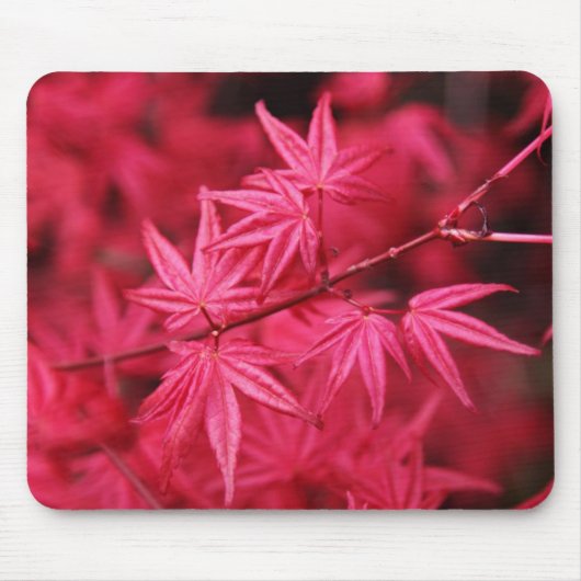 Mousepad-Red Maple Tree Muismat (Voorkant)