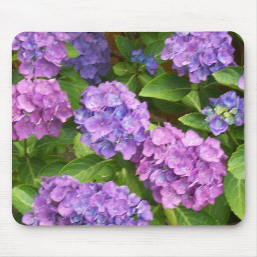 Mousepad, Roze en Blauwe Hydrangeas Muismat (Voorkant)