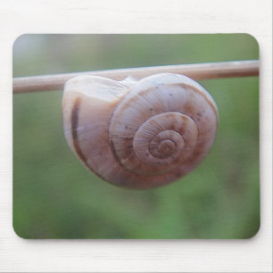 Mousepad Schnecke hängt am Stäbchen Muismat