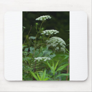 mousepad sjabloon muismat