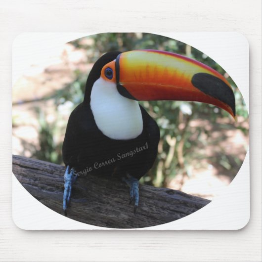 Mousepad Toucan Muismat (Voorkant)