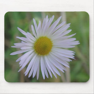 Mousepad weisse Wildblüte Muismat