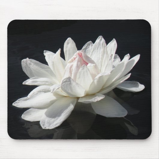 Mousepad, White Water Lily Muismat (Voorkant)