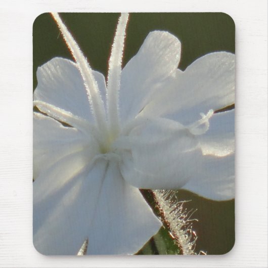 Mousepad witte bloem muismat (Voorkant)