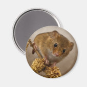 Mousie Magnet (Recto/Verso)