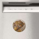 Mousie Magnet (In Situ (Lave-vaisselle))