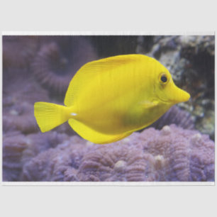 Mousseline aquarium citron papier de tissu de poisson