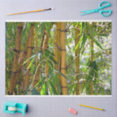 Mousseline Bambou Arbres Découpage 15 papier Arrière - plan (Artisanat)