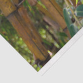 Mousseline Bambou Arbres Découpage 15 papier Arrière - plan (Détail)