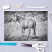 Mousseline Beau papier de fond noir et blanc (Artisanat)