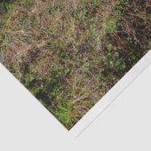 Mousseline Cabine forestier 26 Découpage Papier de tissus (Détail)